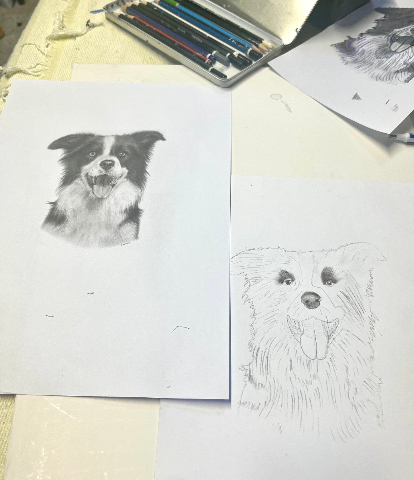 Holiday Workshop: Realistic Animal Drawing