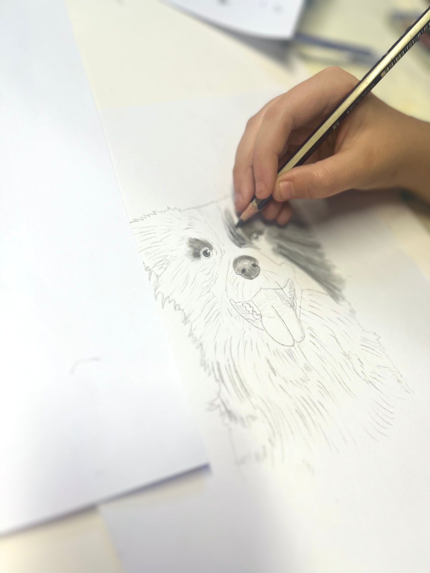 Holiday Workshop: Realistic Animal Drawing